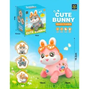 LAPIN MUSICALE